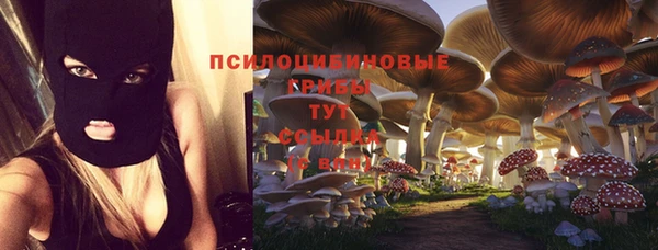 амф Протвино