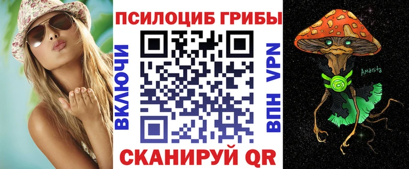 Псилоцибиновые грибы мицелий  купить наркотик  Кингисепп 